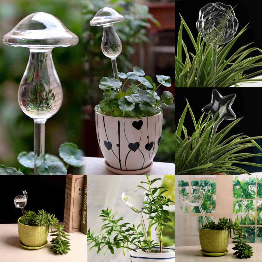 6 tipos de flores de vidrio para plantas, alimentador de agua, dispositivos de riego automático