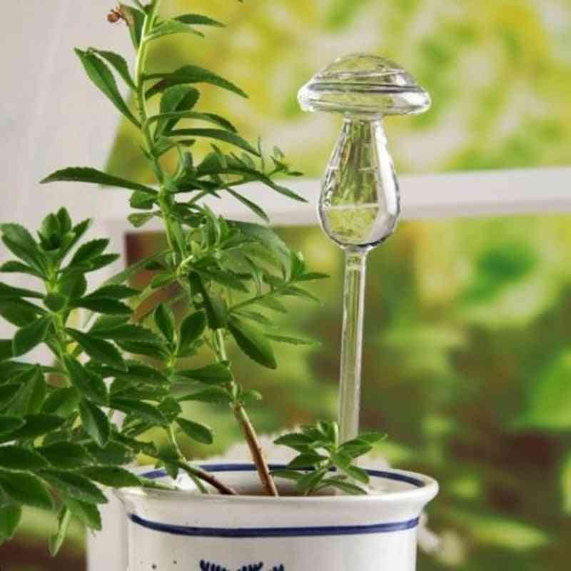 6 druhů sklářských květin, podavač vody, automatické samozavlažovací zařízení