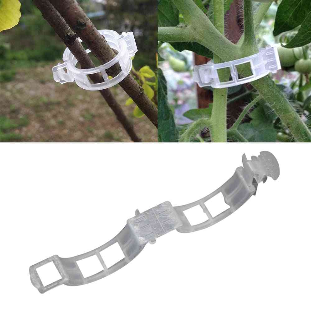 50pcs clair durable, clips de support de poivrons de vigne de plante de jardin