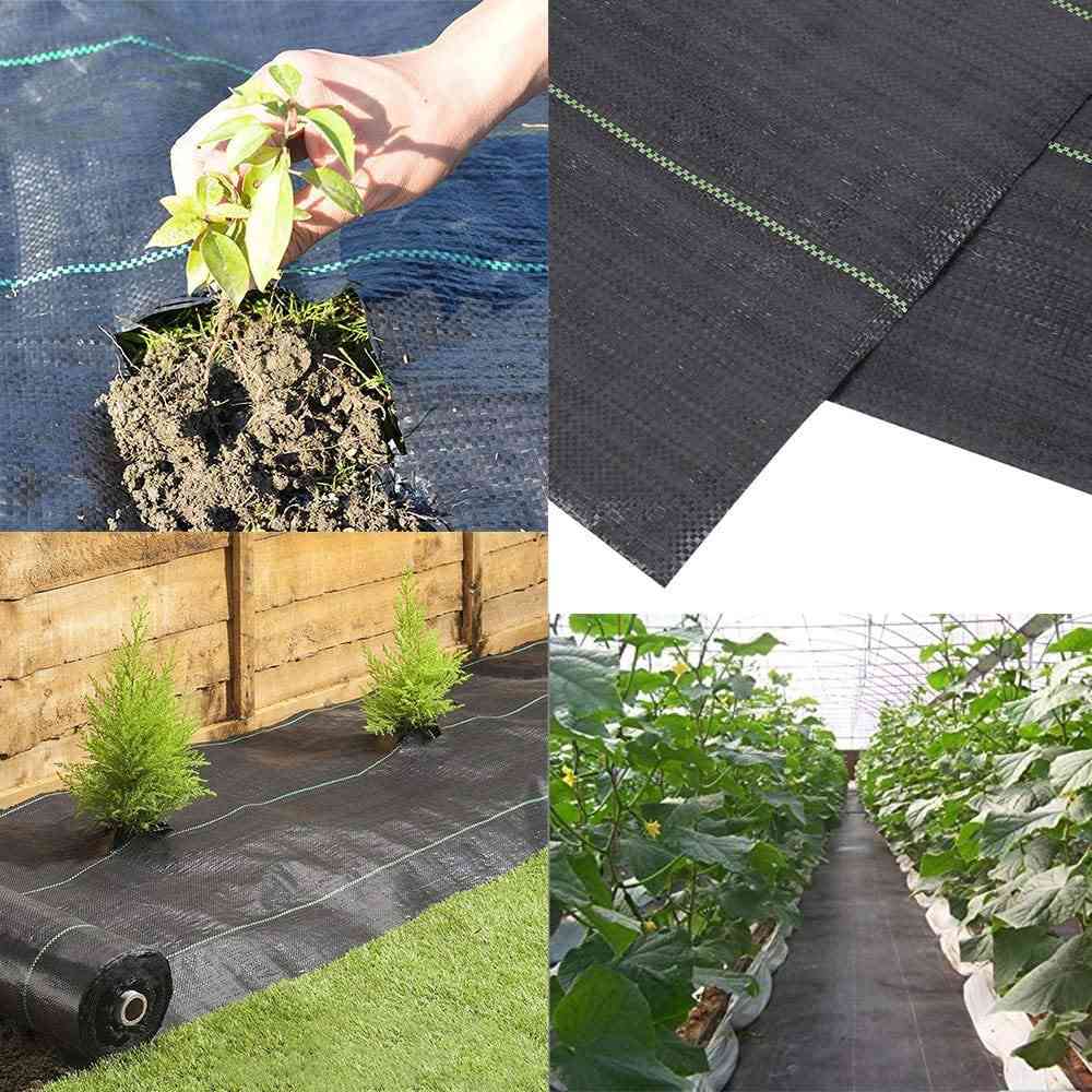 Agricultural Anti Grass Cloth Farm-oriented Weed Barrier Mat