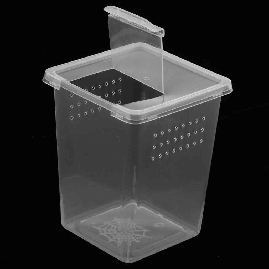 Plastic Insect Spider Habitat Feeding Box, Case, Container