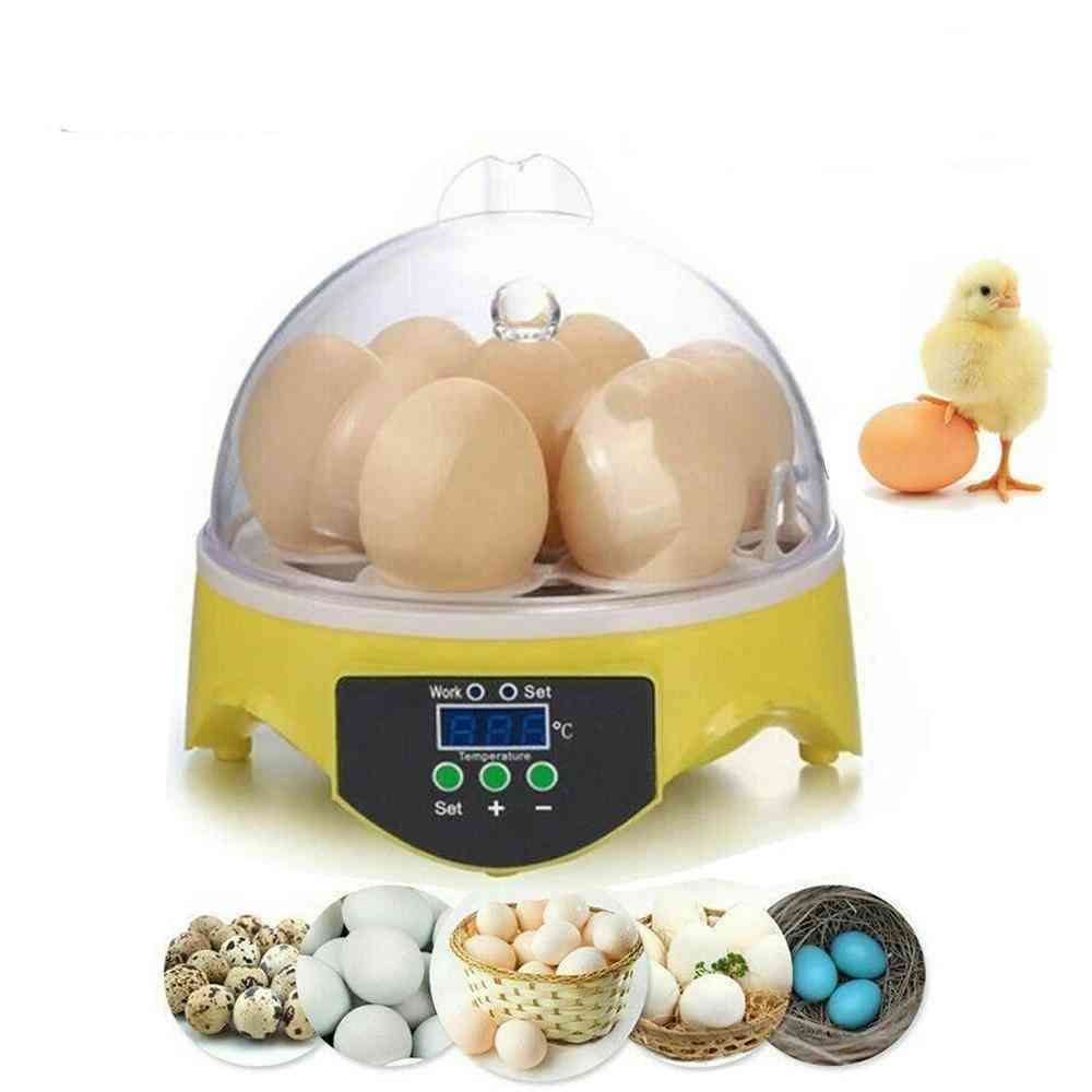 Incubadora automática de temperatura, incubadora de aves, pato y pollo