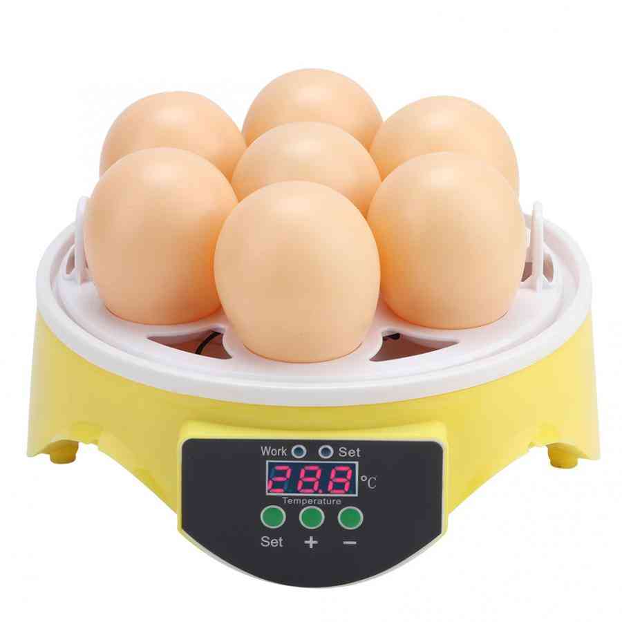 Incubatrice automatica per polli anatra anatra a temperatura automatica