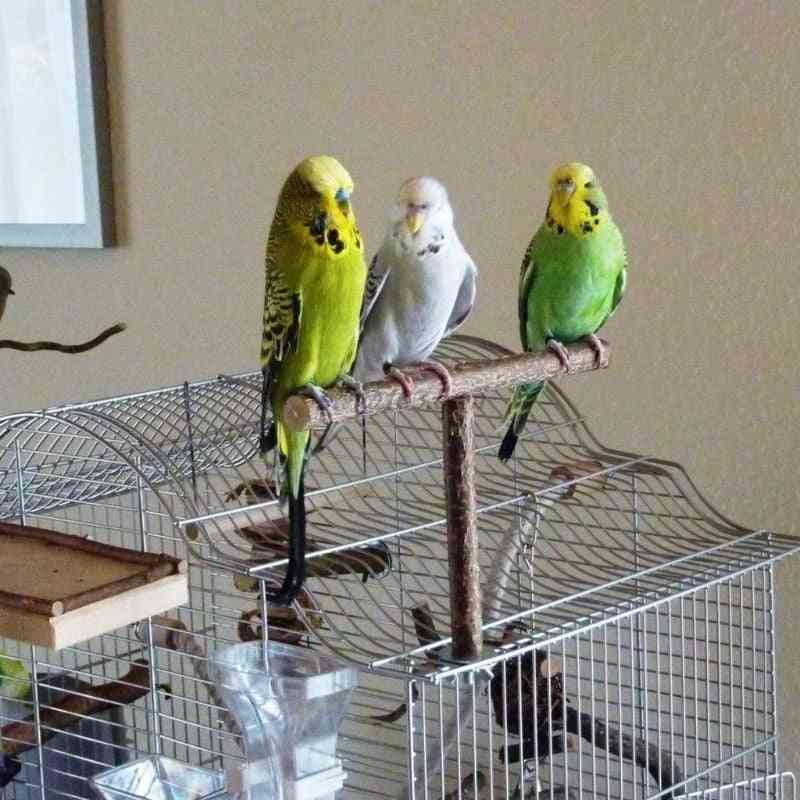 Parrots Bird- Stand Bar Bite, Chew Swing, Pet Bracket Accessories