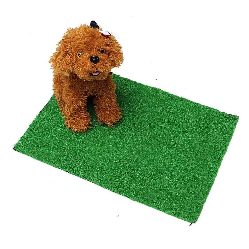 Dog & Small Pet Portable Training Pad With Tray