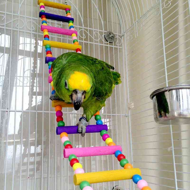Suministros para aves colgando bolas de colores subiendo escalera