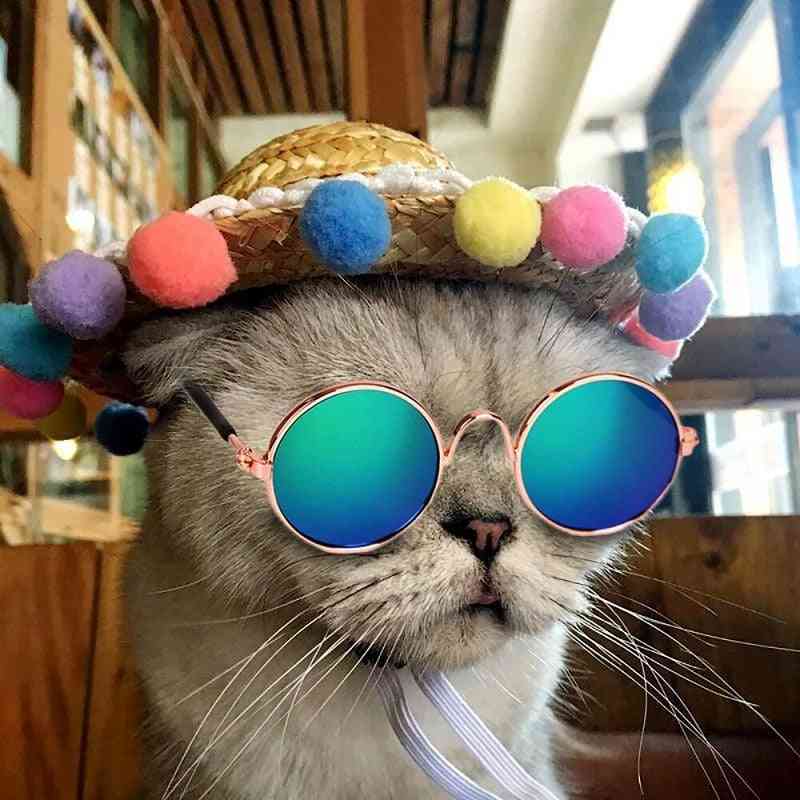Adoráveis óculos de gato de estimação, óculos, óculos de sol