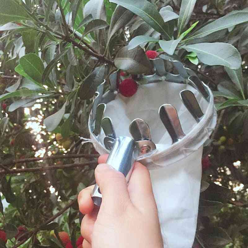 Portable Fruits Catcher For Harvest, Picking Citrus Pear Collector