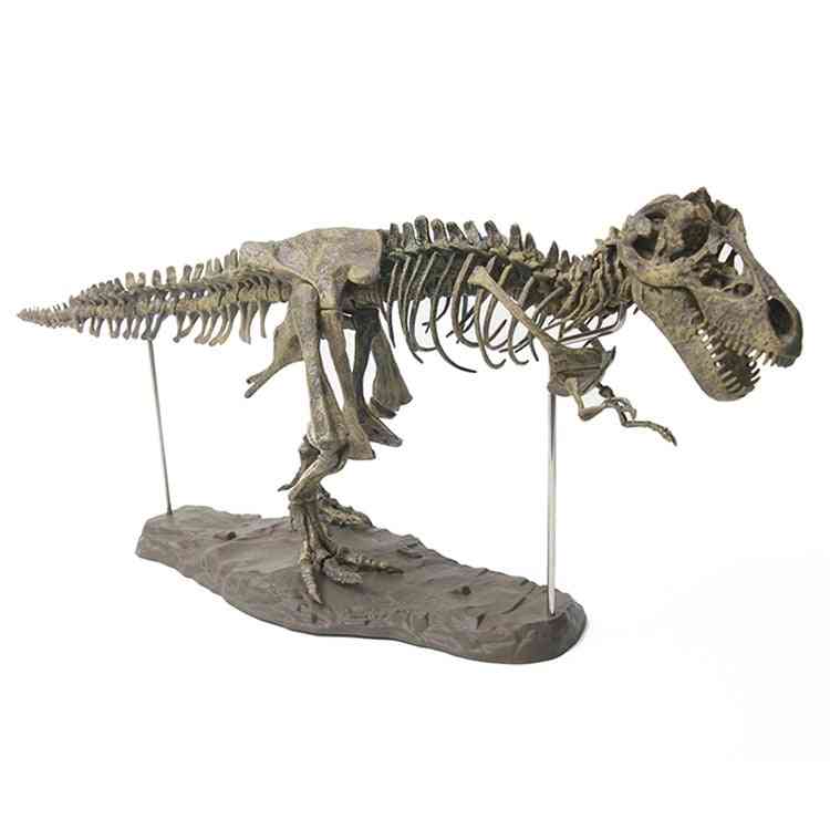3d- esqueleto de dinosaurio, biología educativa, juguete modelo biología