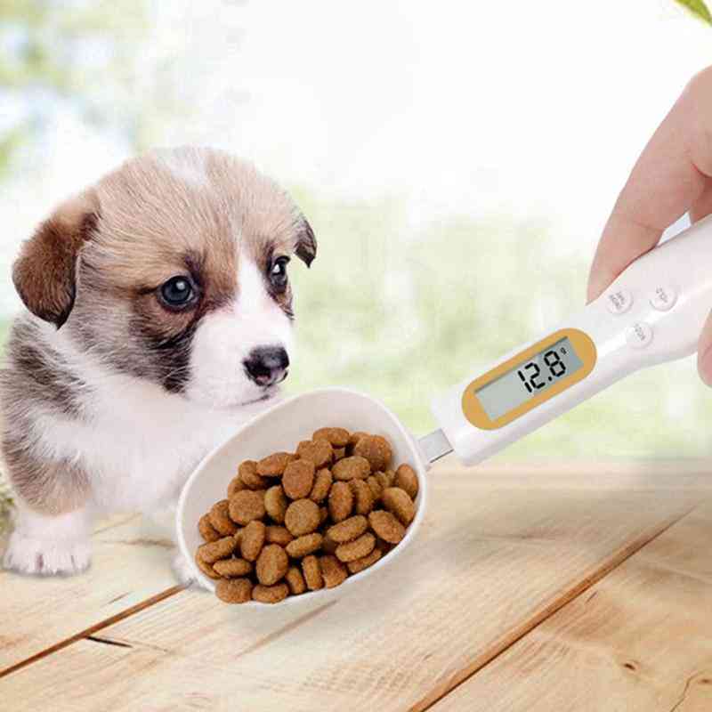 Misurino per alimenti per animali domestici con display a led