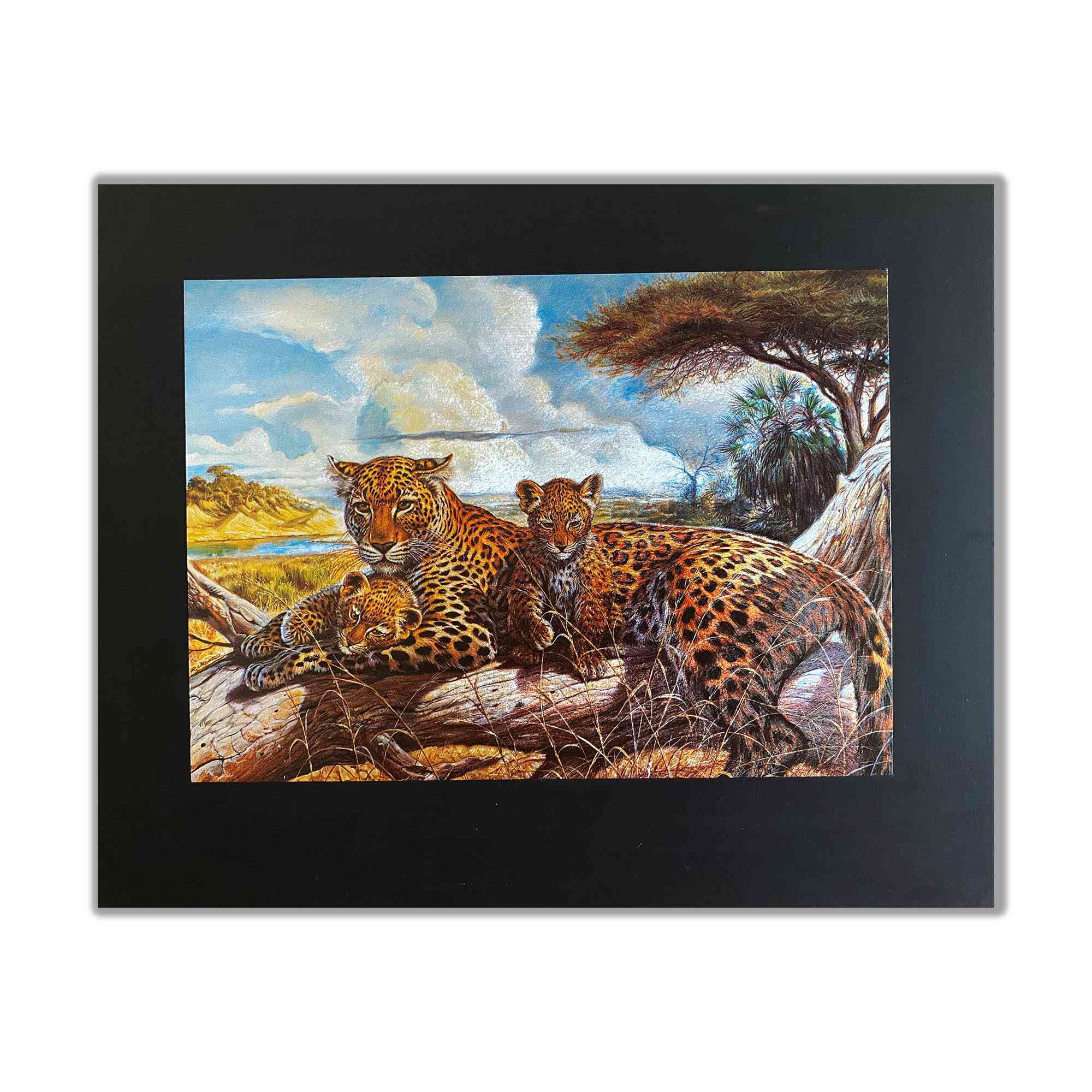 Rodzina tygrysów w wklęsłodruku savanah - sztuka foliowa