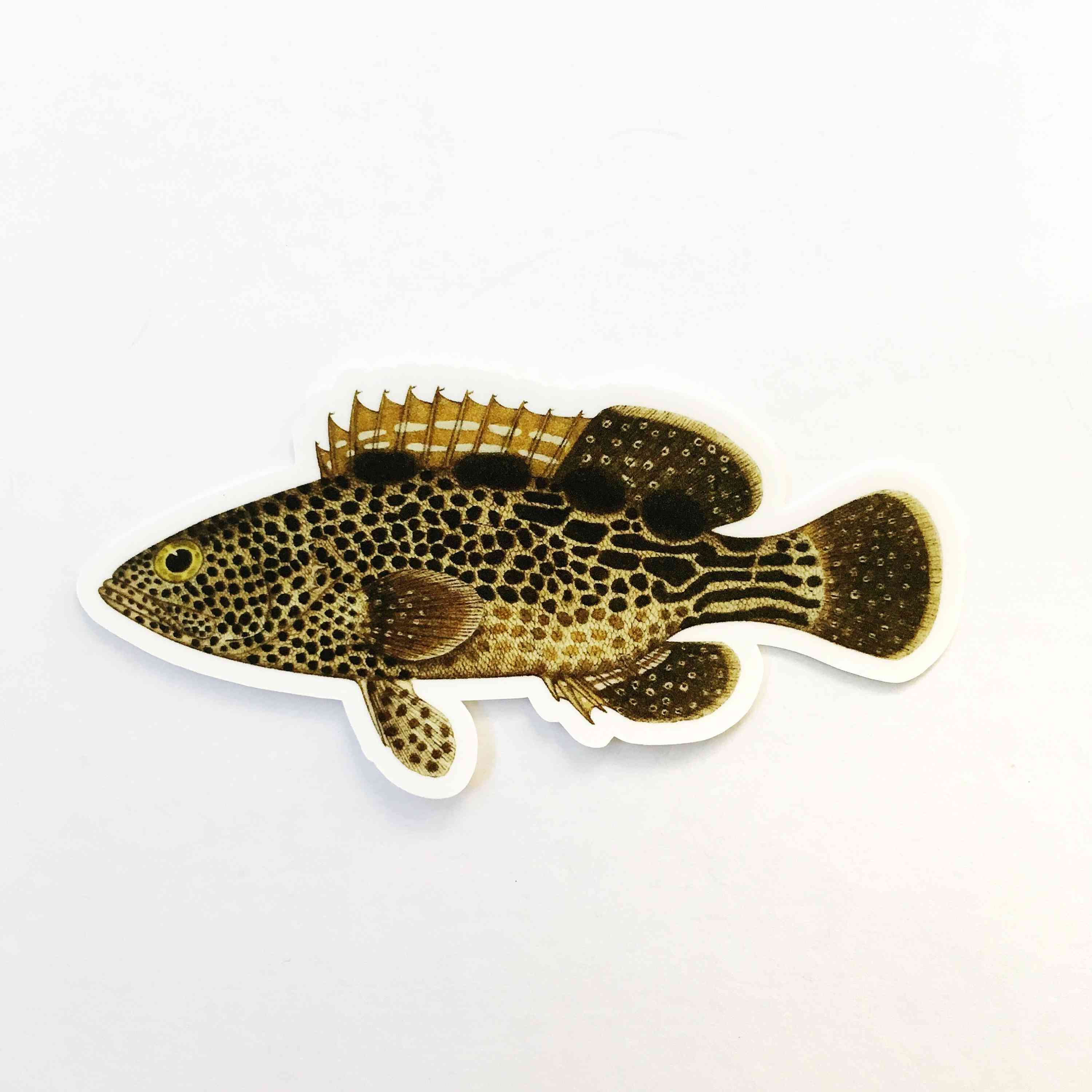 Grouper fisk vinyl klistermärke