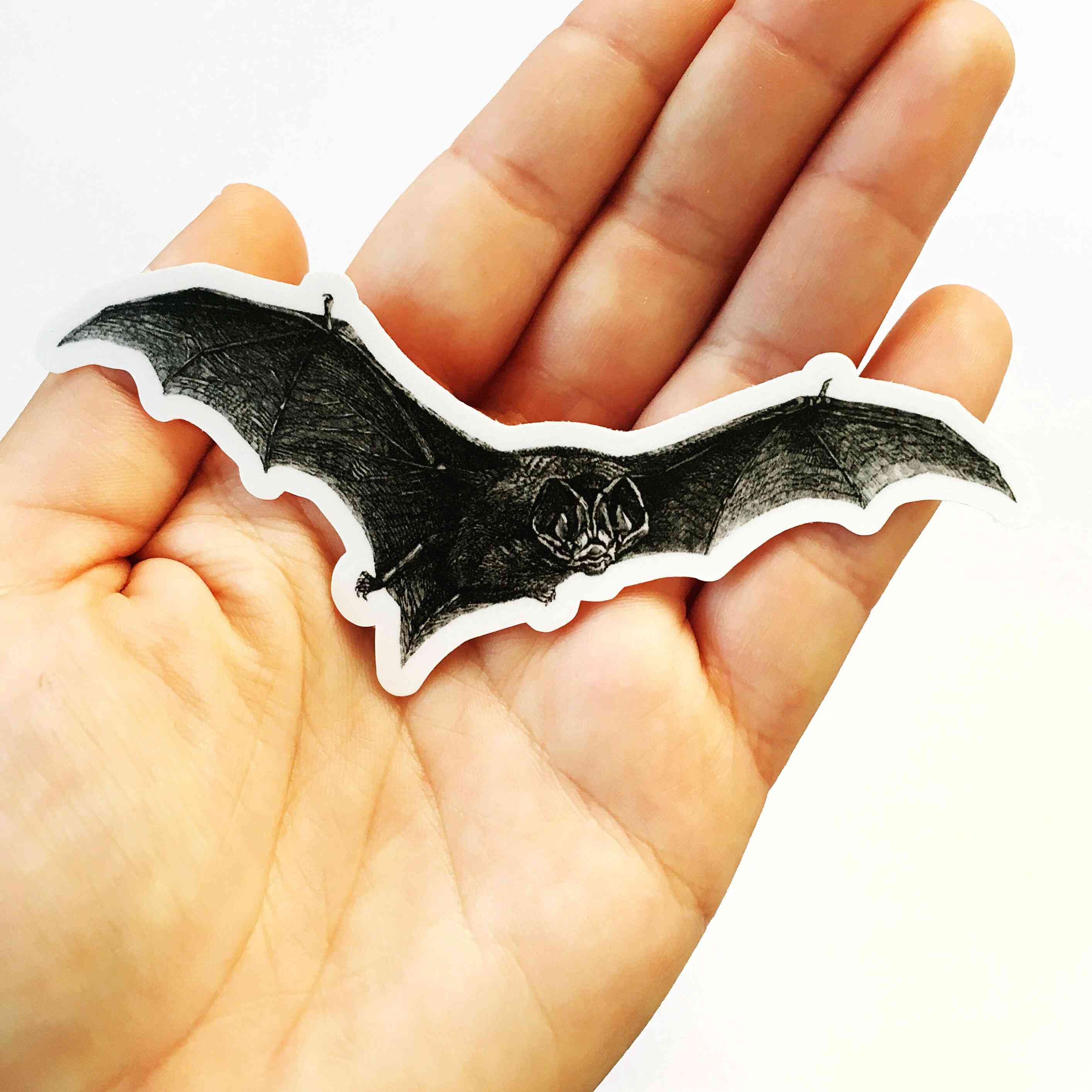 Vampire Bat Vinyl Sticker