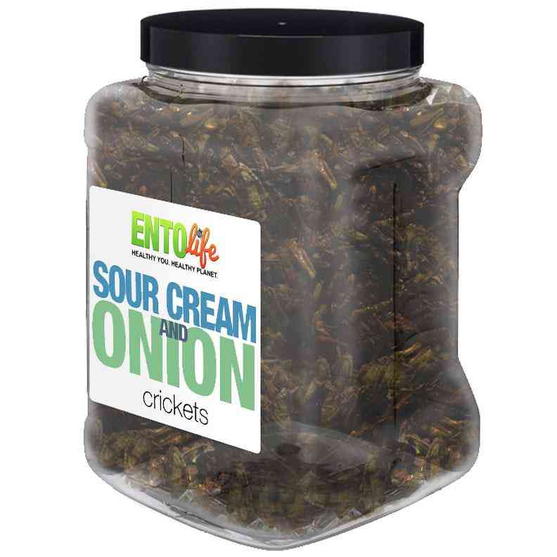 Sour Cream & Onion Flavored Cricket Snack