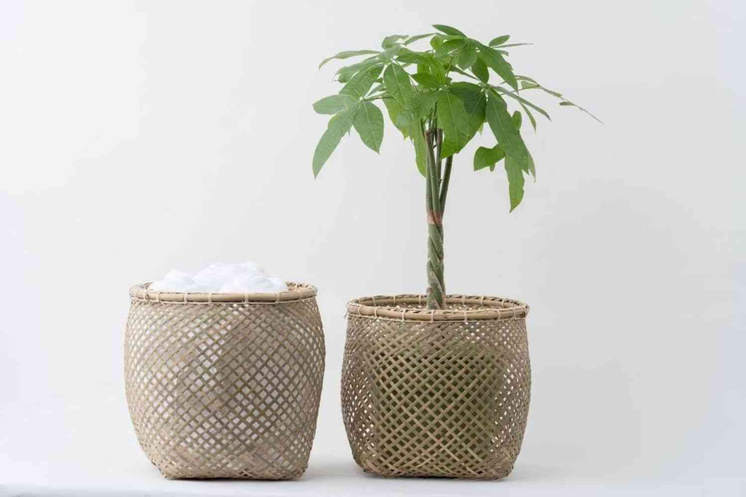 Traditional Bamboo Basket