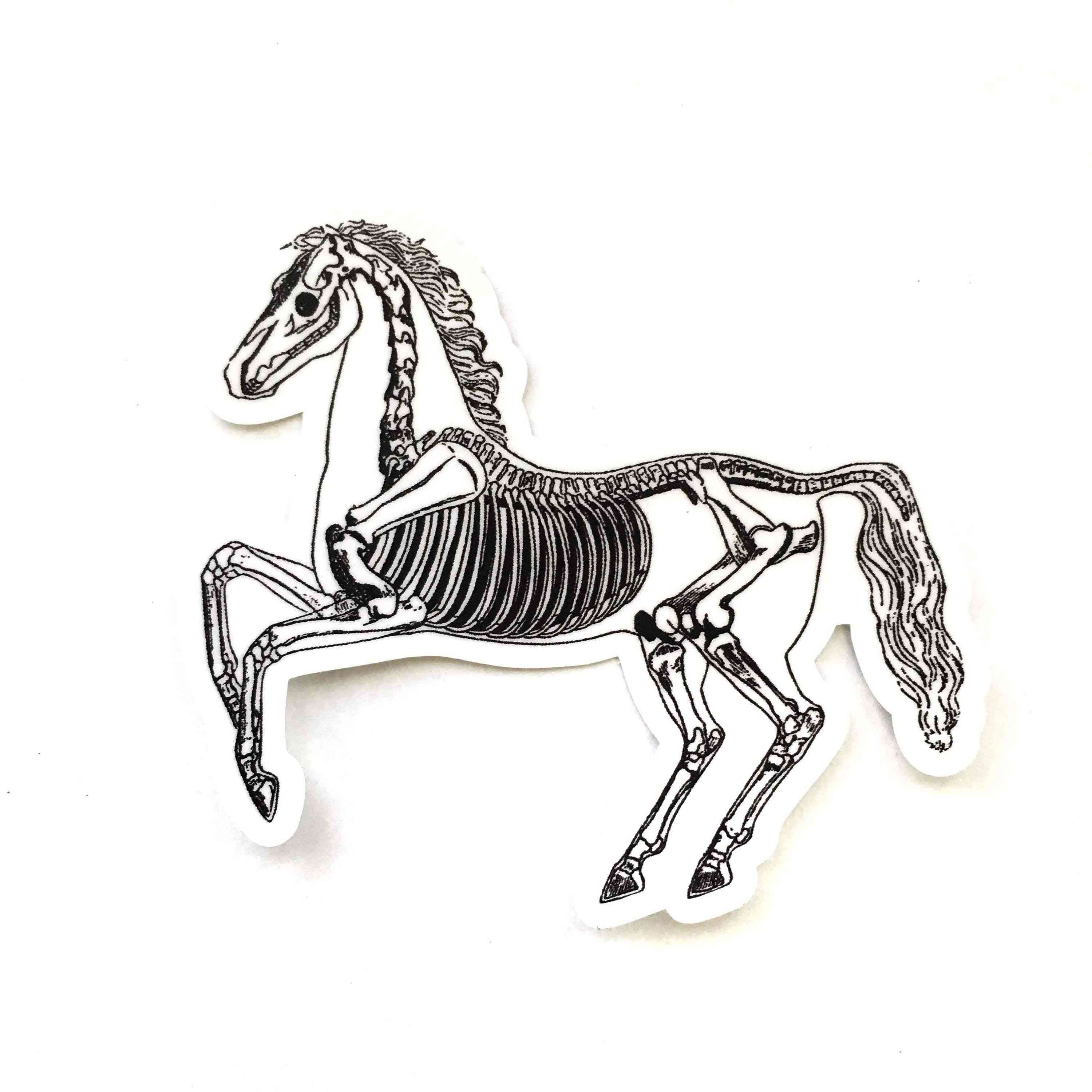Vintage skelet hest vinyl klistermærke