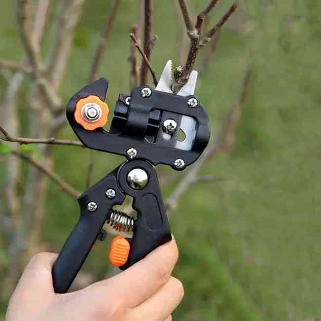 Ammattimainen puiden varttamisen ja leikkaamisen työkalu