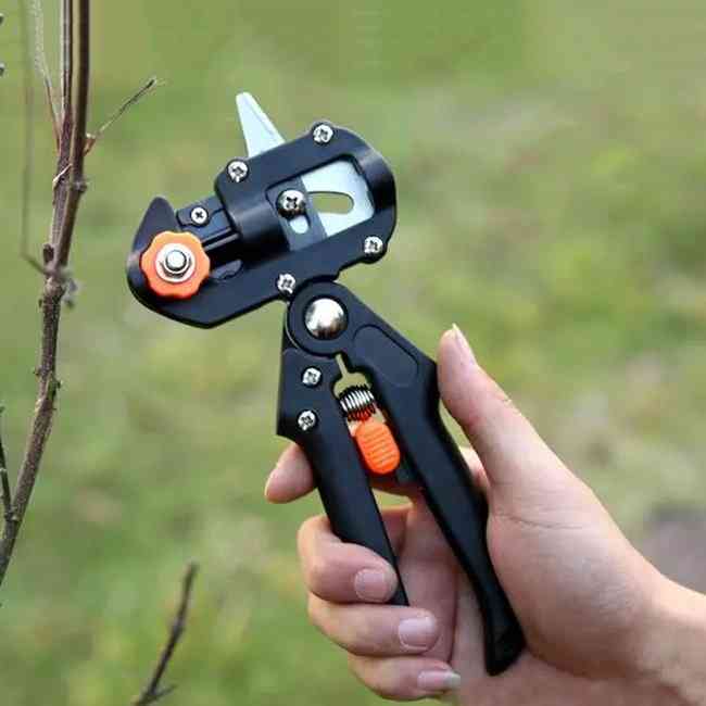 Professional Tree Grafting-cutting Tool