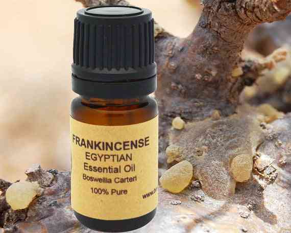 Frankincense Essential Oil Organic 15ml