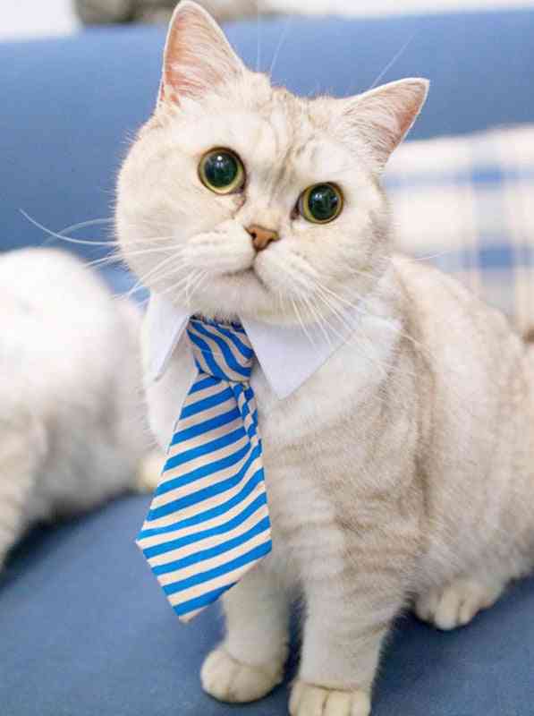 Cravată pentru animale de companie cu dungi