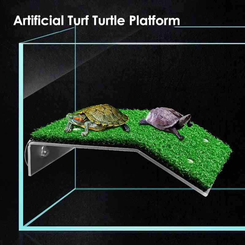 Teknősplatform pihenő teknős mászó létra szárító sütkérező terasz