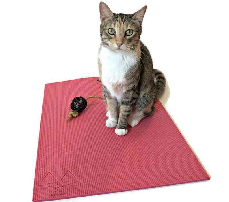 Feline Yogi Yoga Cat Mat -pink