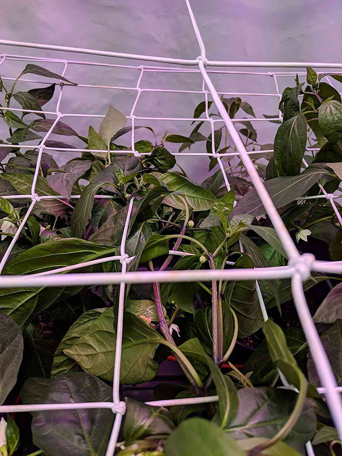 Plasa spaliere plasa suport plante plasa elastica cu carlige pentru corturi de cultivare de interior cutie