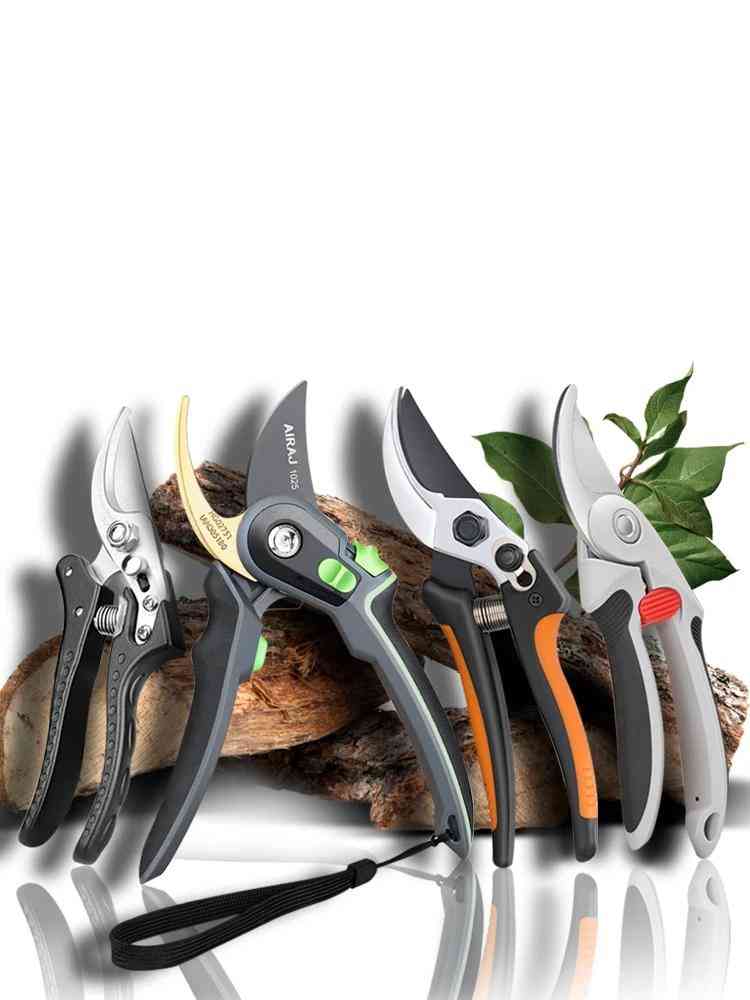 Puutarhanhoito karsimiseksi sakset käsityökalut