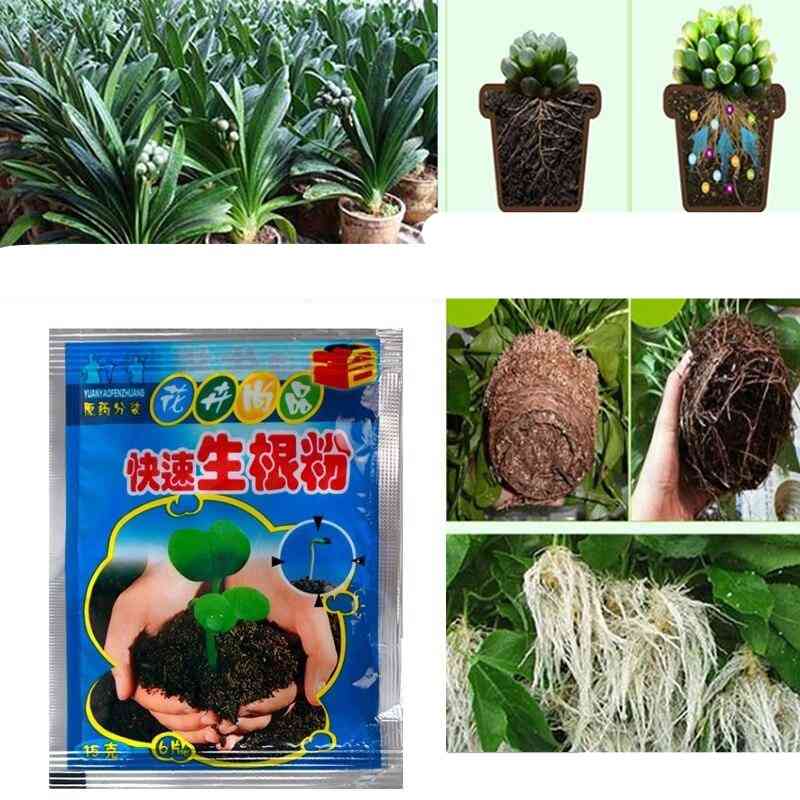 Fast Rooting Powder, Abt Root Plant Flower Transplant Fertilizer Growth Improve