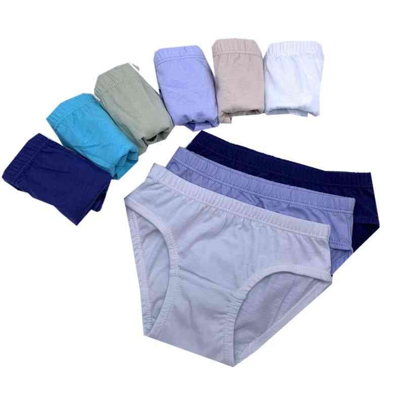 Pantaloncini in puro cotone di colore, mutandine intimo