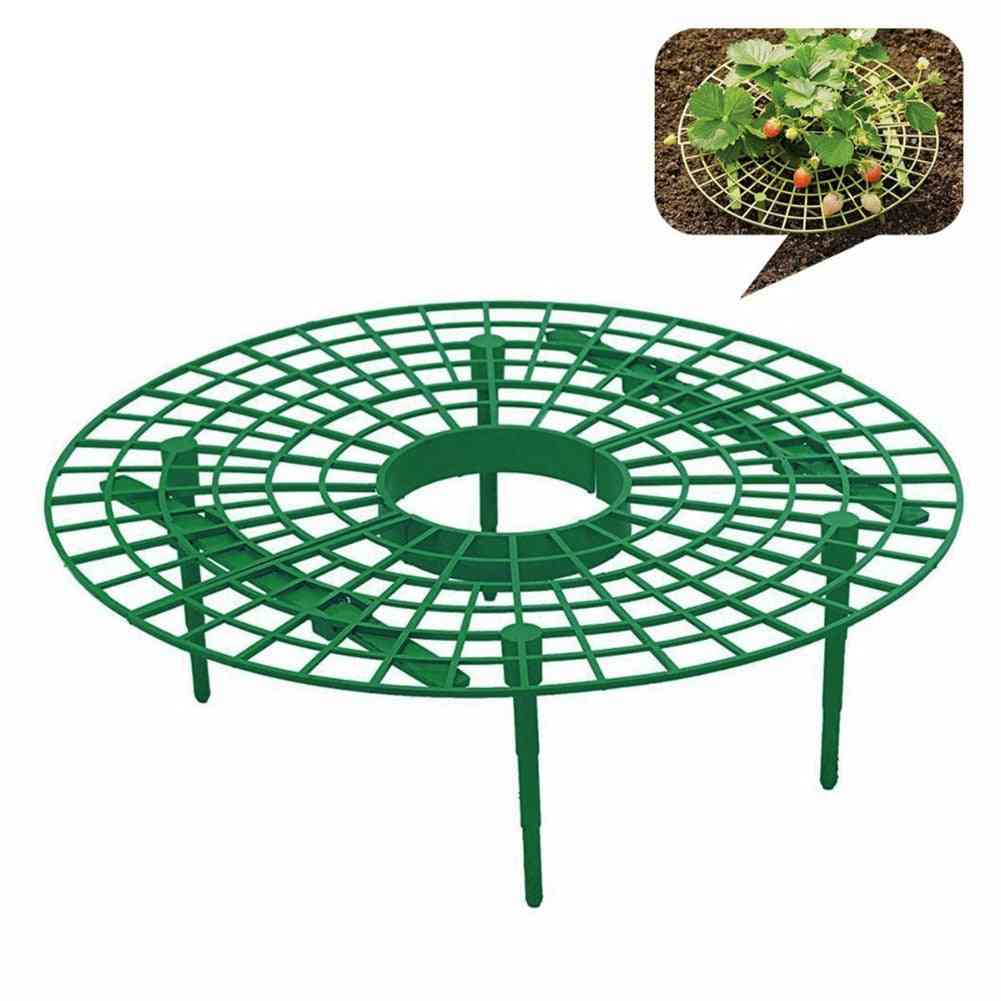 Strawberry Growing Circle Support Rack Plant Tool, Farming Frame