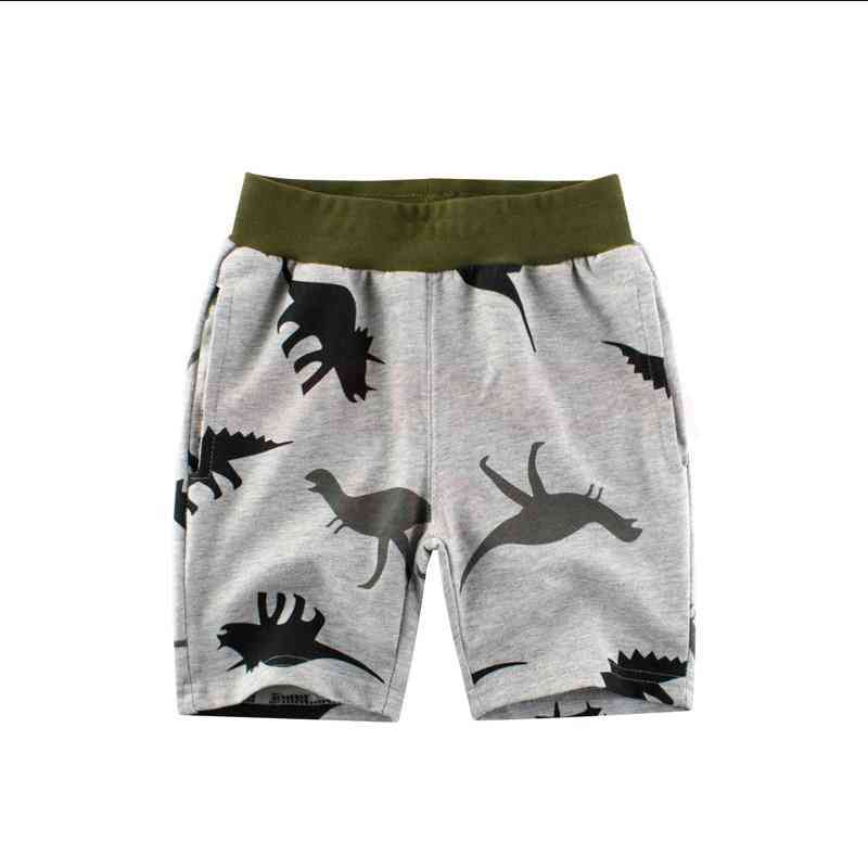 Summer/spring Dinosaur Baby & Shorts (set-1)