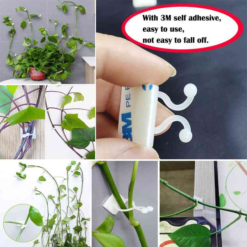 Plant Climbing, Wall Self-adhesive Fastener Tied Fixture, Vine Buckle Hook, Garden Vine Clips, Fixed