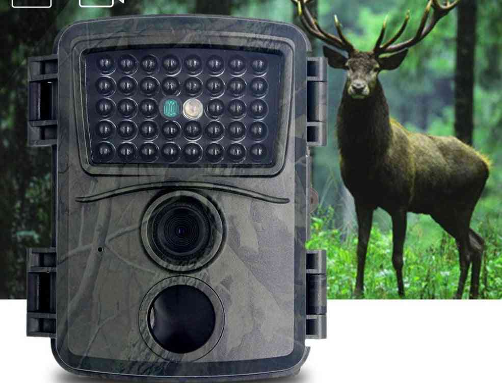 Telecamera per la caccia al sentiero con sensori a infrarossi