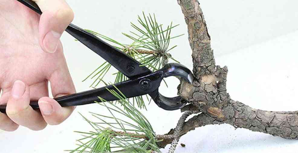 8,27 tuuman oksaleikkuri ammattimaiset bonsai-työkalut