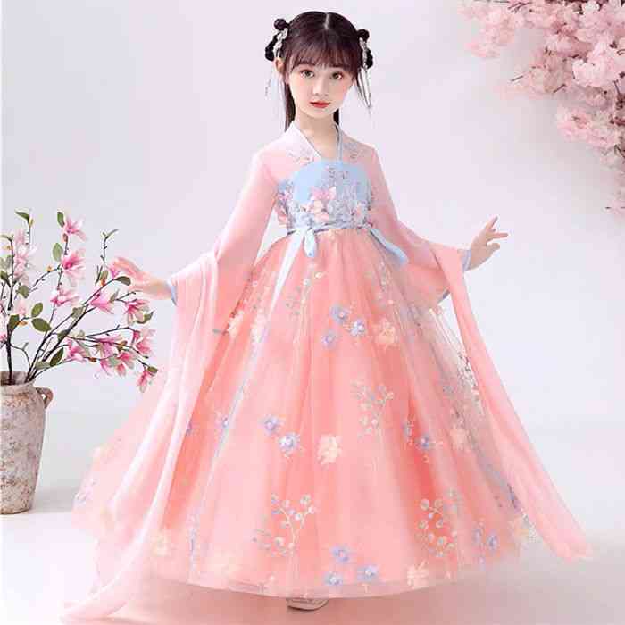 Traditional Fairy Costume Dress For