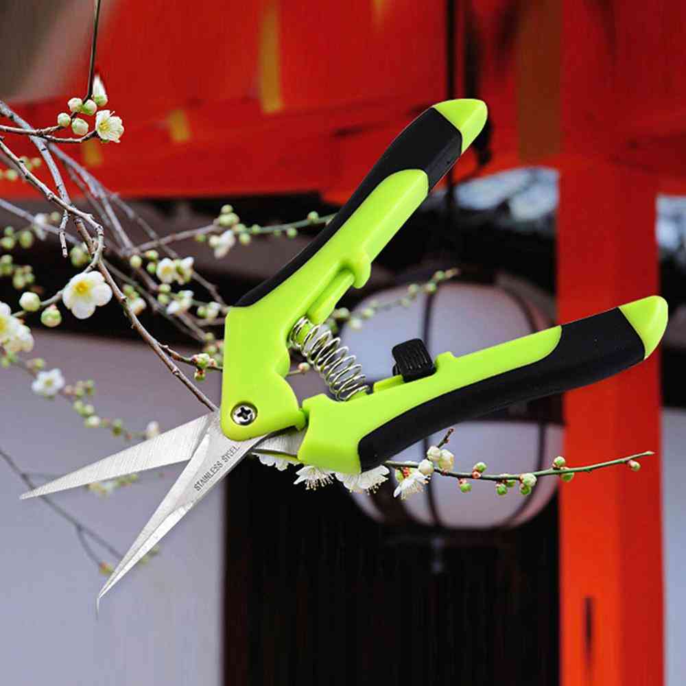 Garden Pruning- Shears Orchard Picking, Scissors Hand Tools