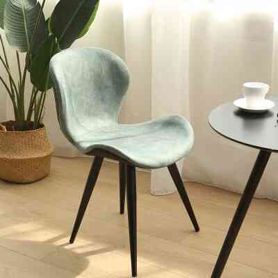 Nordic Food Modern Minimalism Home Louis Fashion Chairs