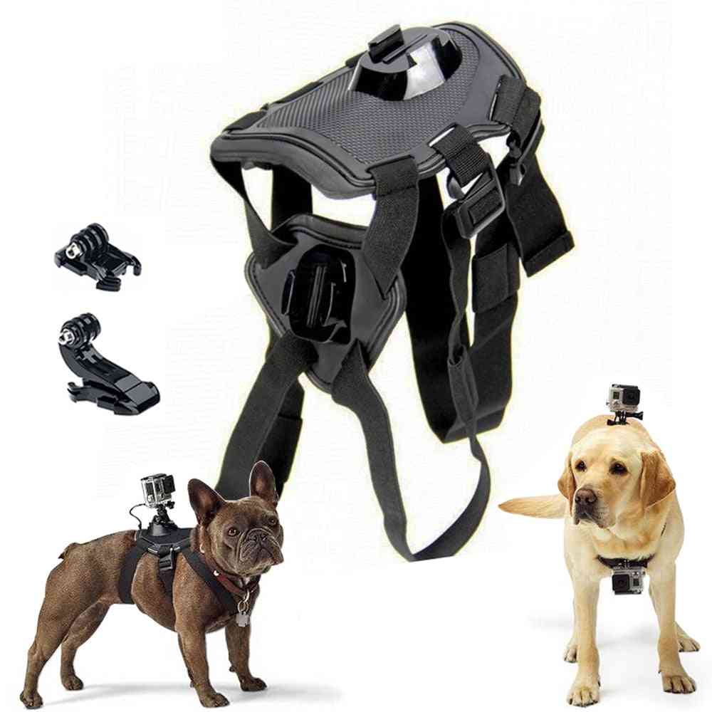 Adjustable Dog Chest Strap With Camera Mount Holder