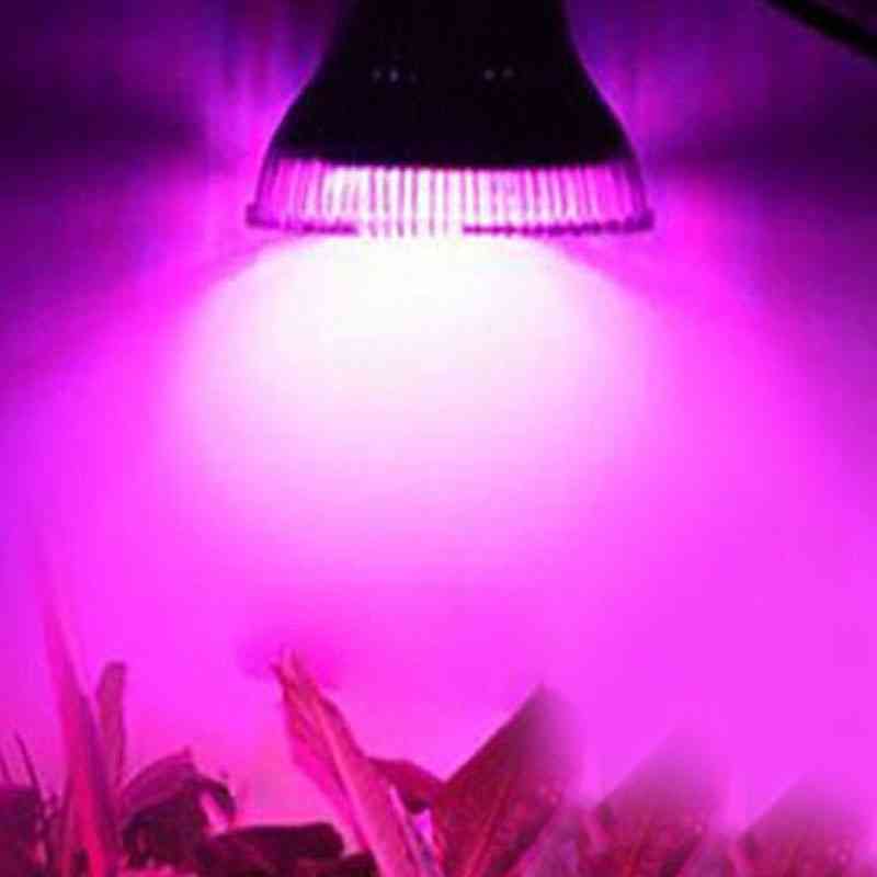 Phyto Led E27 Hydroponic Growth Light