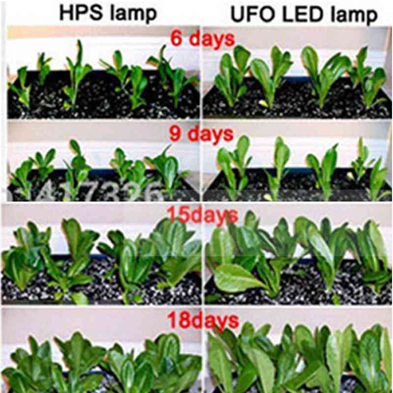 Phyto Led E27 Hydroponic Growth Light