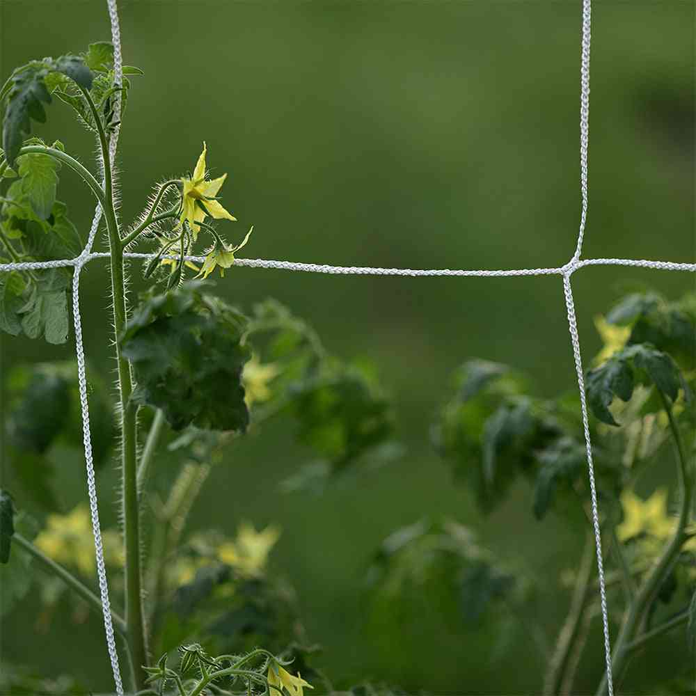 Plant Trellis Netting, Heavy-duty Polyester, Support Garden Net Accessories