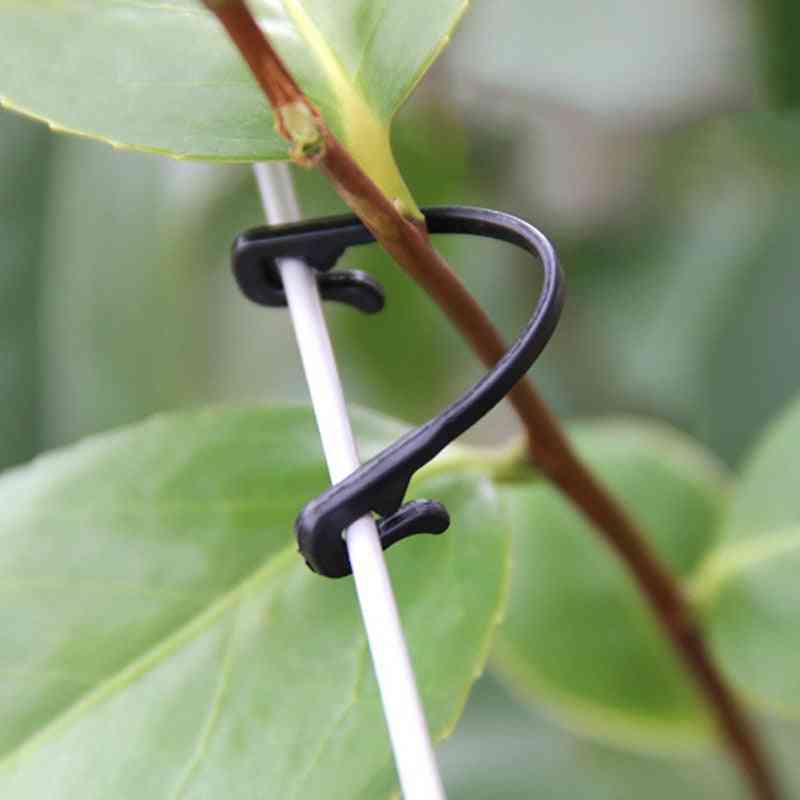 Attache vigne clips attachés boucle, outil d'arrimage fixe, clip de support de greffage végétal, support de crochet végétal
