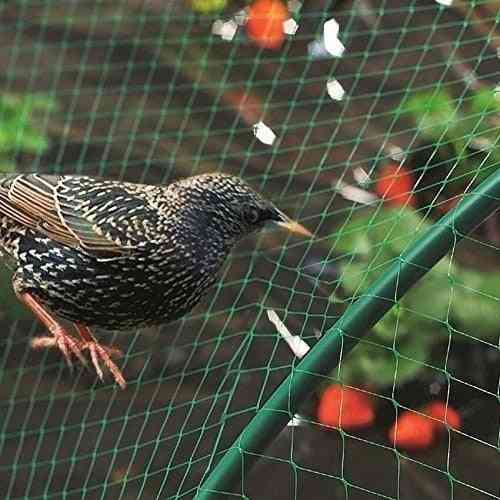Proti pticam zaščiti drevesno mrežo, sadni pridelek, rastlino, vrt, mrežo za ribnike