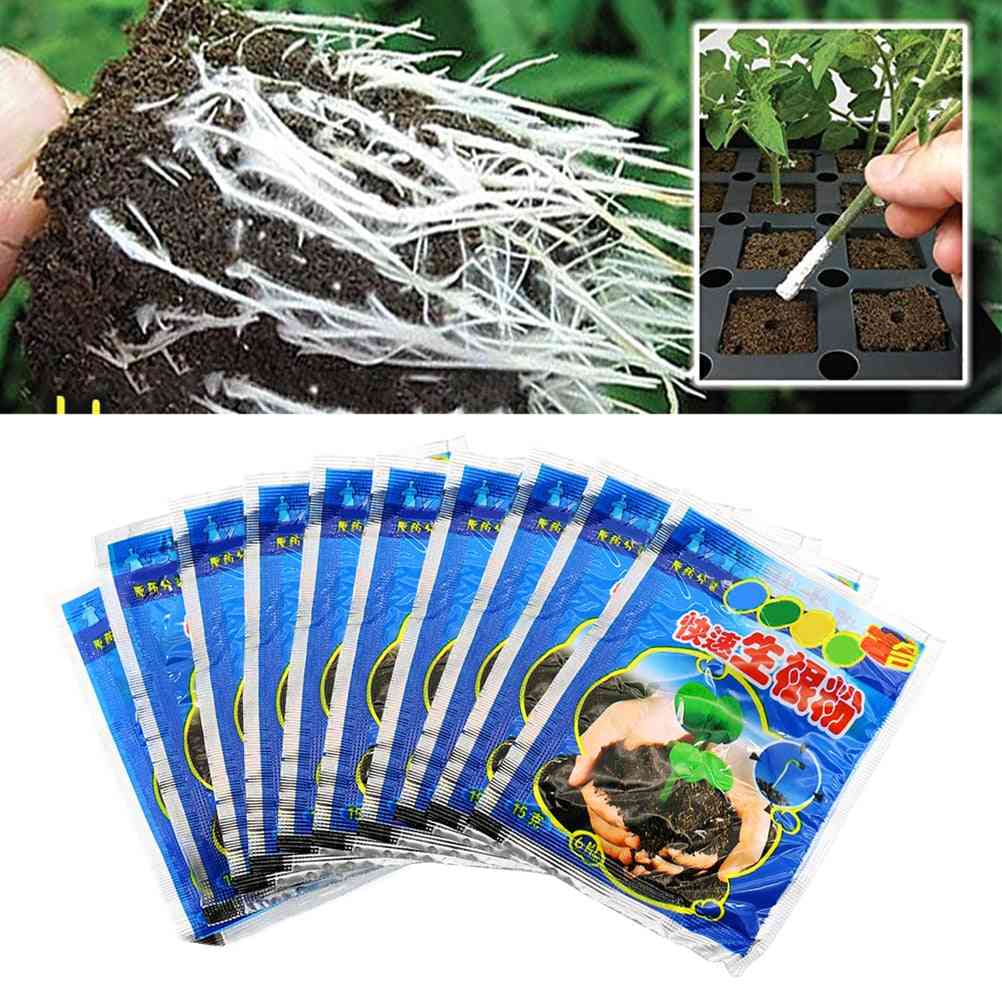 10 g di polvere radicante per la germinazione delle radici delle piante aiuta il fertilizzante per fiori in vaso