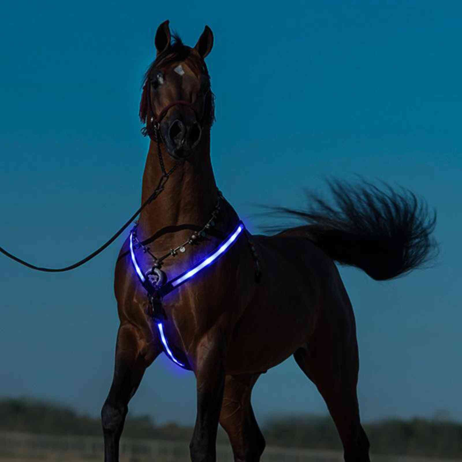 Led Horse Breastplate Collar Usb Rechargeable High Visibility Tack