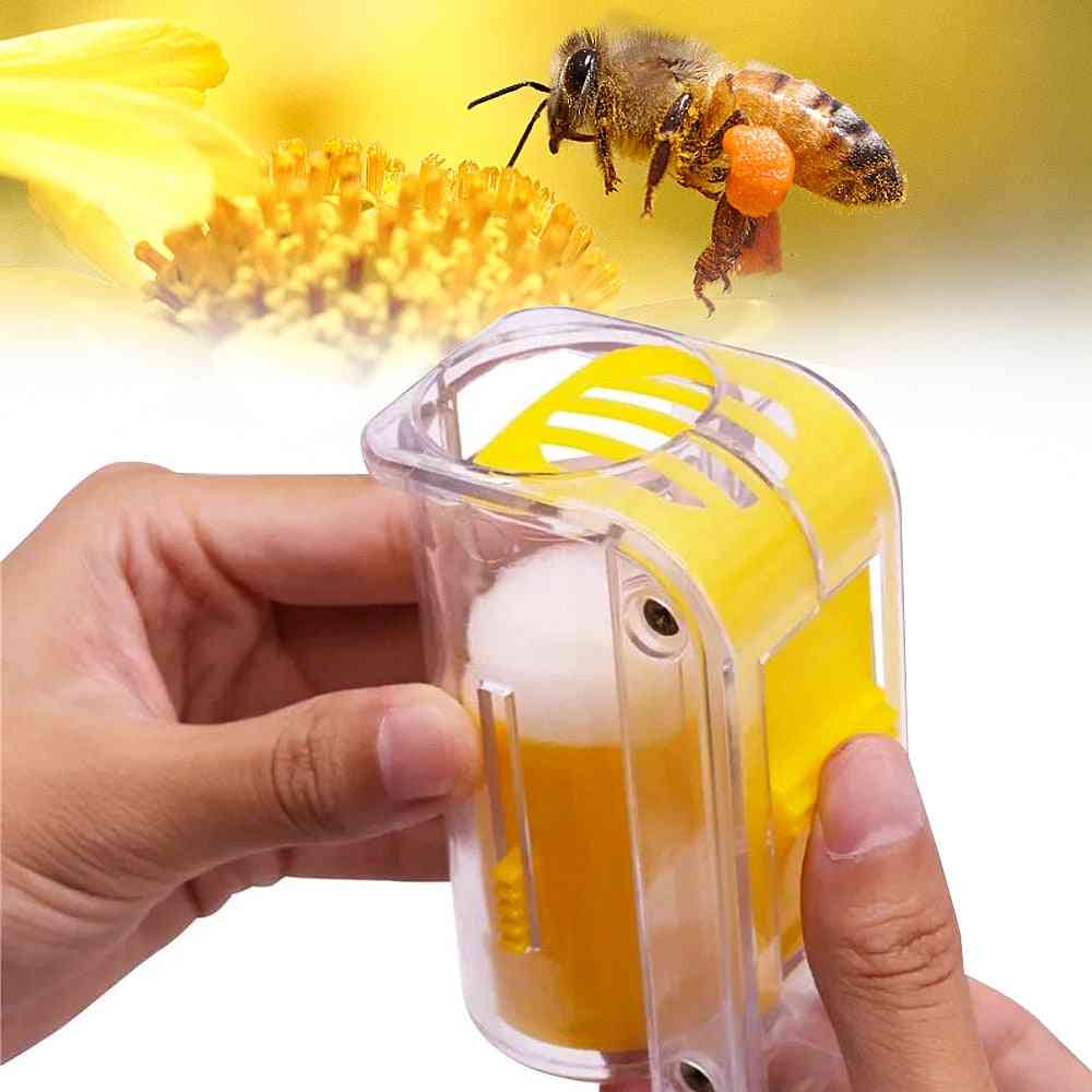 Marqueur de reine des abeilles bouteille de marque d'abeille cage en plastique à une main marqueur de marquage avec plongeur fournitures d'apiculture de jardin en peluche
