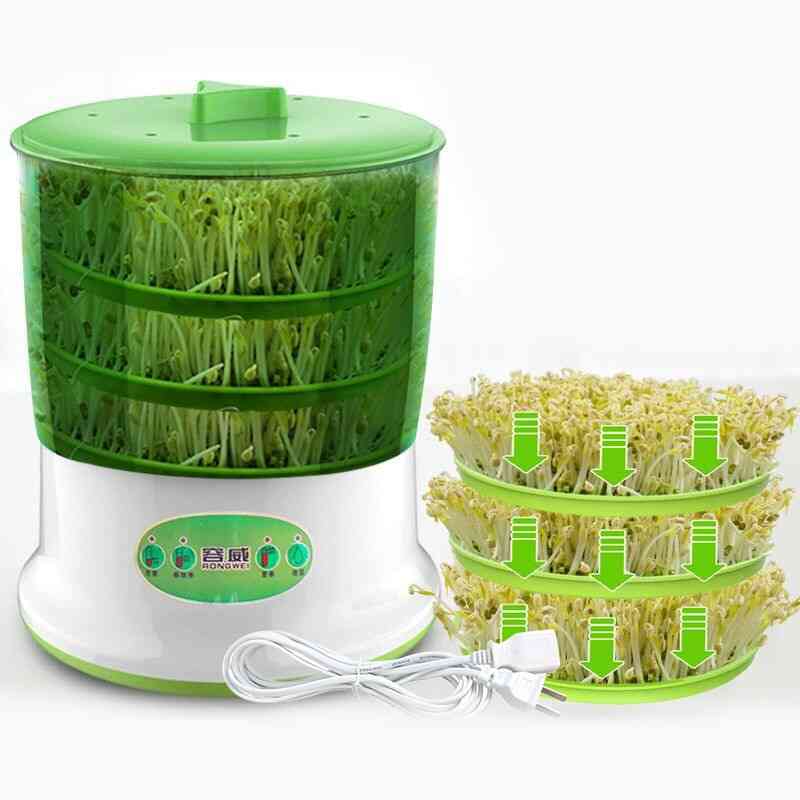 Bean Sprouts, Green Seeds Growing Machine
