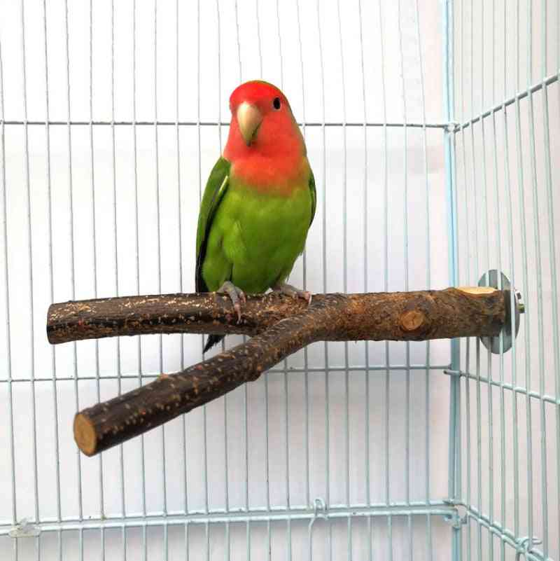 Pet Parrot Raw Wood Fork Stand Rack Toy
