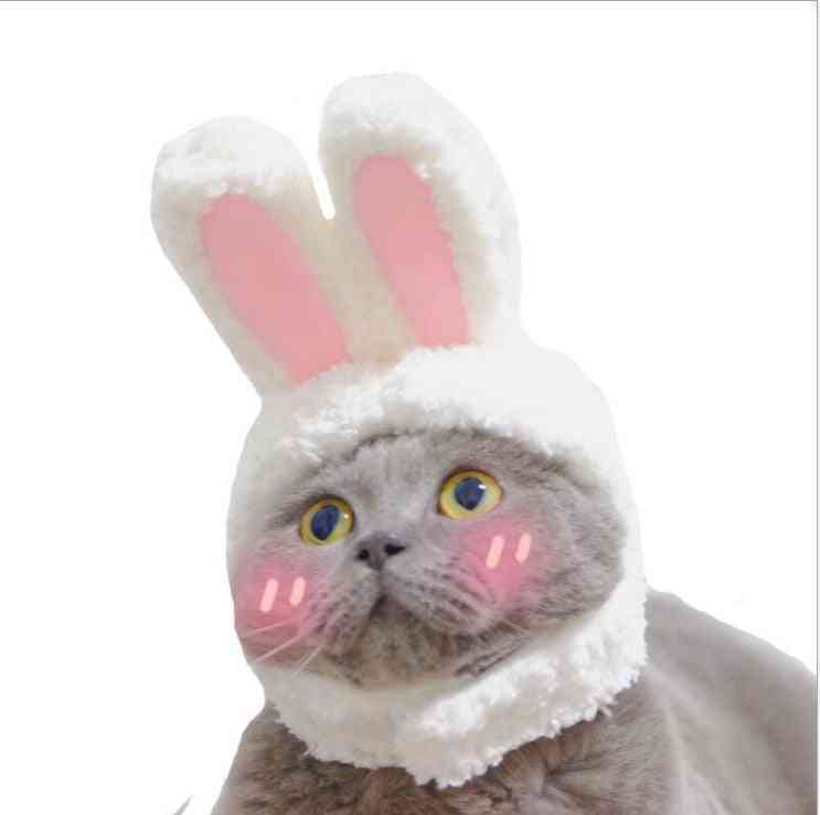 Funny Pet Dog Cat Costume Warm Rabbit Hat